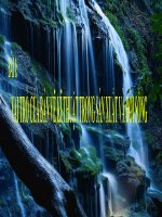 bài giảng công nghệ 12 bài 1 vai trò và triển vọng của ngành kĩ thuật trong đời sống và trong sản suất