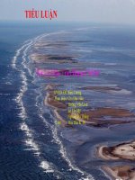 xử lý dầu tràn bằng công nghệ sinh học