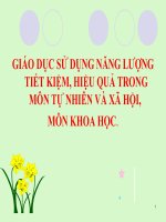 GIÁO DỤC SỬ DỤNG NĂNG LƯỢNG TIẾT KIỆM, HIỆU QUẢ TRONG MÔN TỰ NHIÊN VÀ XÃ HỘI,  MÔN KHOA HỌC