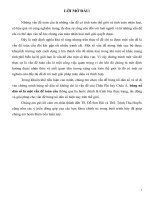 tiểu luận vấn đề bùng nổ dân số