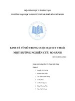 Tiểu luận kinh tế Vĩ Mô KINH TẾ VĨ MÔ TRONG CUỘC ĐẠI SUY THOÁI MỘT HƯỚNG NGHIÊN CỨU SO SÁNH