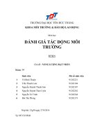 Báo cáo đánh giá tác động môi trường: Năng lượng hạt nhân vì mục đích hòa bình