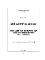 cặp đối ngẫu và tôpô các cặp đối ngẫu
