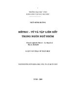 mêtric - từ và lập liên kết trong ngôn ngữ nhóm