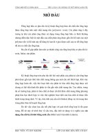 cấu trúc, đặc tính sử dụng và ý nghĩa của các dạng cầu nối bị cắt đứt bằng acid yếu