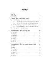 phương trình vi phân đại số ngẫu nhiên