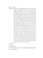 Đề tài thực tiễn hoà giải vụ án dân sự của toà án địa phương