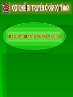 giáo án bồi dưỡng thao giảng thi giáo viên giỏi tham khảo tiết 25 đột biến số lượng nhiễm sắc thể (6)