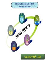 giáo án bồi dưỡng thao giảng thi giáo viên giỏi tham khảo tiết 25 đột biến số lượng nhiễm sắc thể (3)