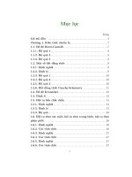 sự hội tụ của tổng các biến ngẫu nhiên trực giao