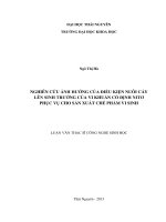 Nghiên cứu ảnh hưởng của điều kiện nuôi cấy lên sinh trưởng của vi khuẩn cố định Nitơ phục vụ cho sản xuất chế phẩm vi sinh