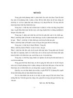 các hệ vi phân dẫn suất chính quy và lý thuyết phơ lốc