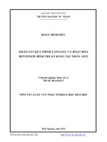 Khảo sát quá trình làm giàu và hoạt hóa Bentonite bình thuận bằng tác nhân axit