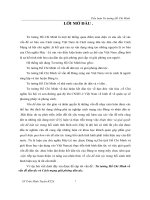 tư tưởng hồ chí minh về vấn đề dân tộc và cách mạng giải phóng dân tộc