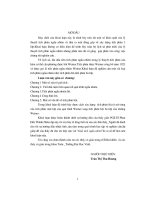 một số vấn đề về tích phân ngẫu nhiên