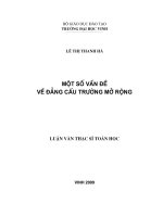 một số vấn đề về đẳng cấu trường mở rộng