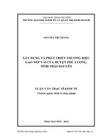Xây dựng và phát triển thương hiệu gạo nếp vải của huyện Phú Lương, tỉnh Thái Nguyên