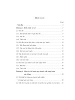 một lớp bài toán quy hoạch ngẫu nhiên với ràng buộc cân bằng