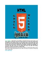 Các nguyên tắc cơ bản về HTML5