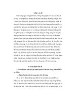 Đề tài cơ sở lí luận và thực tiễn của việc ghi nhận quyền có tài sản riêng của mỗi bên vợ chồng