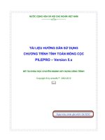 HƯỚNG DẪN SỬ DỤNG PILEPRO