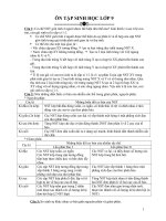 ôn tập sinh học lớp 9 sinh học phân tử