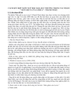 cách kết hợp ngôn ngữ độc đáo trong bài thơ đàn ghi ta của lorca