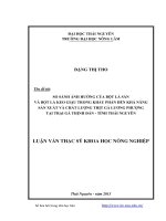 So sánh ảnh hưởng của bột lá sắn và bột lá keo giậu trong khẩu phần đến khả năng sản xuất và chất lượng gà Lương phượng tại trại gà Thịnh Đán tỉnh Thái Nguyên