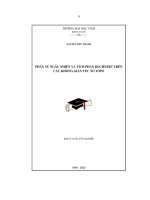 phần tử ngẫu nhiên và phân tích bochnert trên các không gian véctơ tôpô