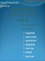 các phương pháp nghiên cứu sinh học phân tử.ppt