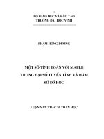 một số tính toán với maple trong đại số tuyến tính và hàm số số học