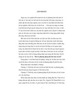 một số phương pháp giải bài toán cái túi