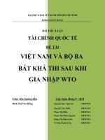việt nam và bộ ba bất khả thi sau khi gia nhập wto