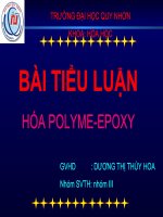 bài tiểu luận hóa polyme - epoxy