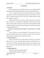 Nghiên cứu và cải tạo lưới điện xã Hợp Tiến – huyện Nam Sách – tỉnh Hải Dương”