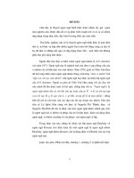 ngôn ngữ nhóm đuybrây và ngôn ngữ nhóm kroazô