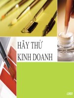 slide thuyết trình hãy thử kinh doanh