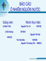 báo cáo chủ đề ô nhiễm sông thị vãi