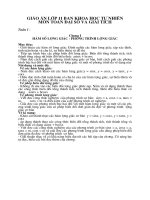 Giáo án toán đại số 11 nâng cao HK1