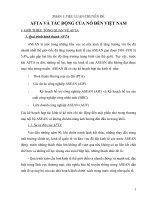 afta và tác động của nó đến việt nam