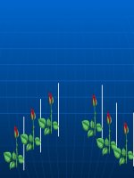 giáo án bồi dưỡng thao giảng thi giáo viên giỏi tham khảo tiết 25 đột biến số lượng nhiễm sắc thể (2)