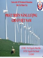 báo cáo năng lượng gió ở việt nam