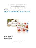 tiểu luận mực trái thông đông lạnh