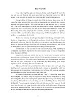 nghiên cứu xây dựng qui trình định lượng đồng thời chất ngọt tổng hợp aspatam và acesulpam trong một số sản phẩm thực phẩm băng phương pháp sắc ký lỏng hiệu nâng cao