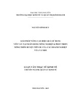 Giải pháp nâng cao hiệu quả sử dụng vốn vay tại ngân hàng nông nghiệp và phát triển nông thôn huyện Tiên Du của các doanh nghiệp vừa và nhỏ