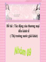 thảo luận kinh tế thương mại đề tài tác động của thương mại đến kinh tế