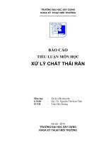 báo cáo tiểu luận môn học xử lý chất thải rắn