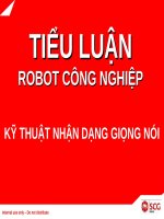 tiểu luận robot công nghiệp kỹ thuật nhận dạng giọng nói