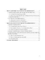 tiểu luận lý thuyết tài chính hành vi