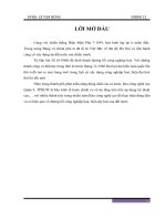 tiểu luận đường lối công nghiệp hoá